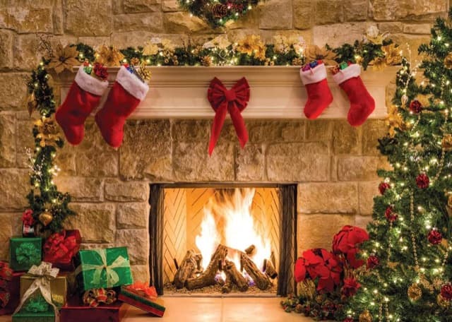 Christmas photo backdrop