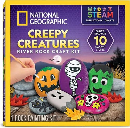 Halloween rock painting kit